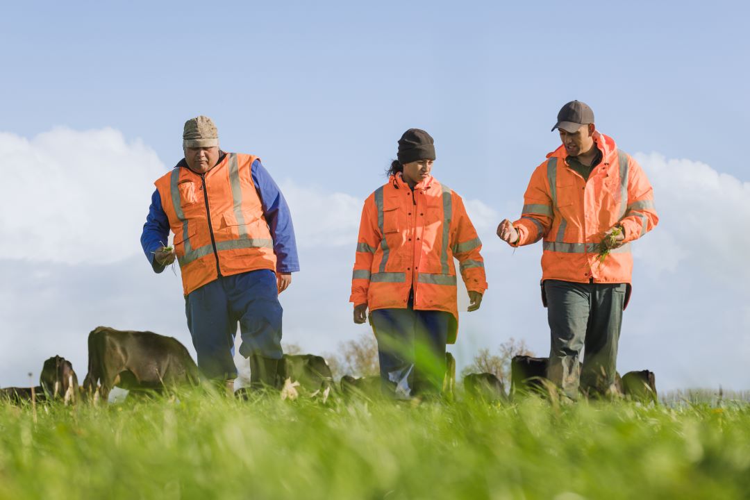 Farm Environmental Planning