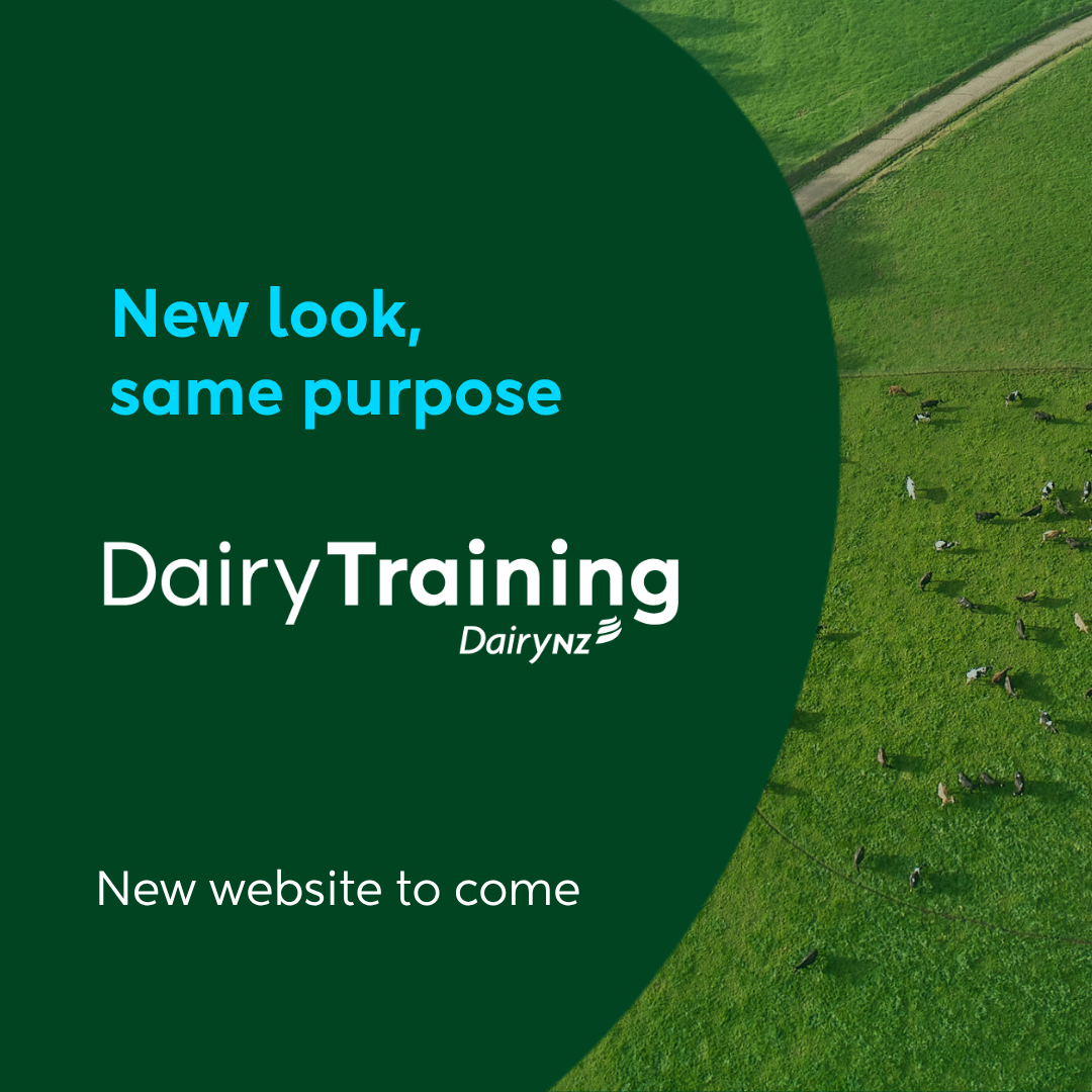 Dairy Training Limited Rebrand