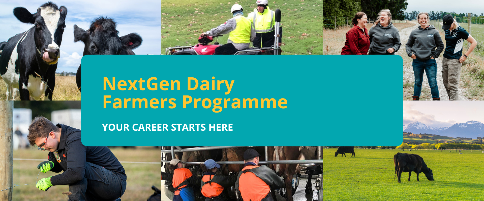 NextGen - Dairy Training