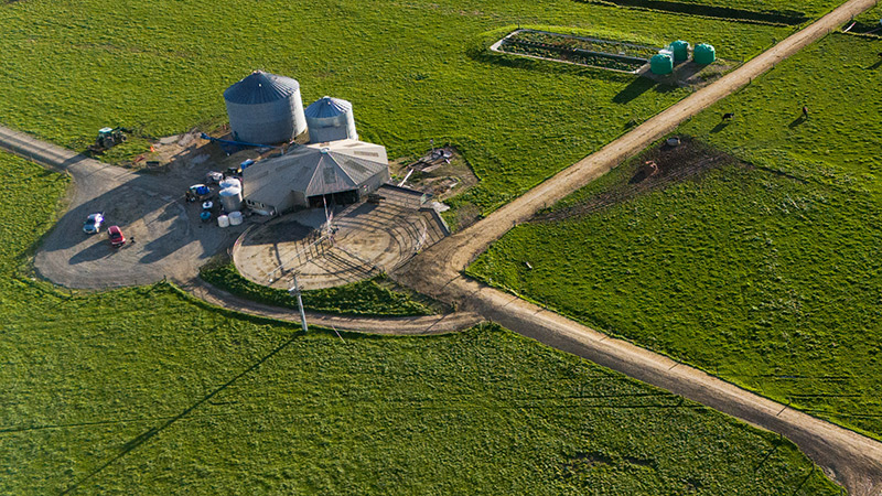 Feed for Profit BizGrow